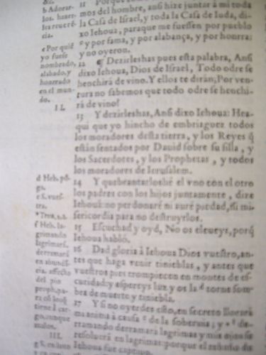 IMGP2687