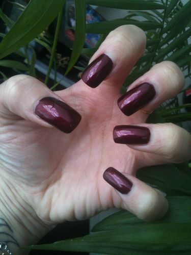 JANVIER-2012-4061.JPG
