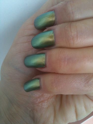 opi-just-spotted-the-lizard 7974