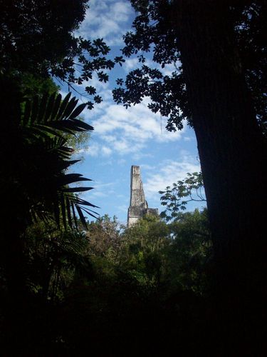 Tikal (61)
