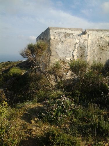 2013-04-14-17.33.38.jpg