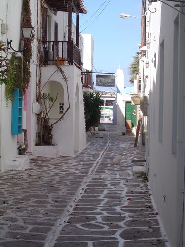 DSC07616.JPG
