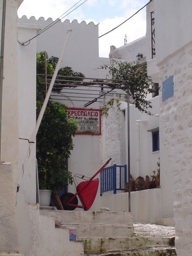 DSC07849.JPG