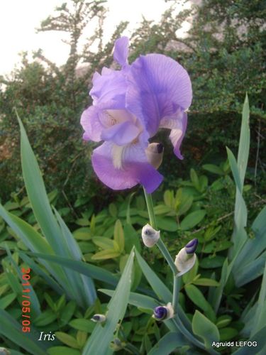 GEDC1058