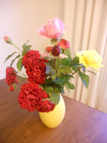 roses.JPG