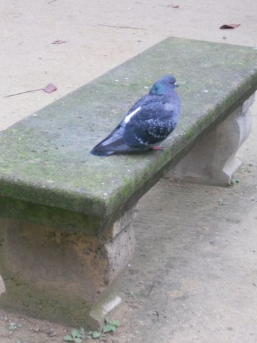 DSCN0735.JPG