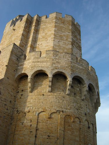 27-12-2011-027.jpg