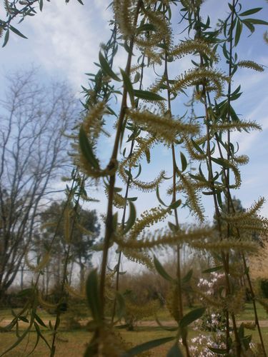 tour-jardin-2-avril-2013-049.JPG