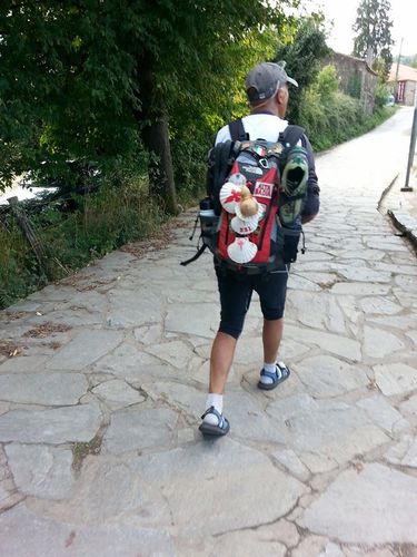 Il mio Cammino di Santiago. 21° giorno di cammino: 35 km da Palas de Rey a Arzúa. La meta dei nostri Giacomei é vicina