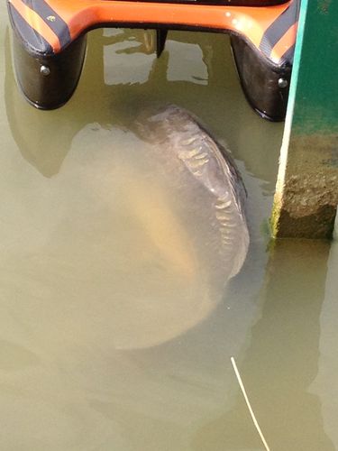 IPHONE_4S_PHOTOS_VIDEOS_507.JPG