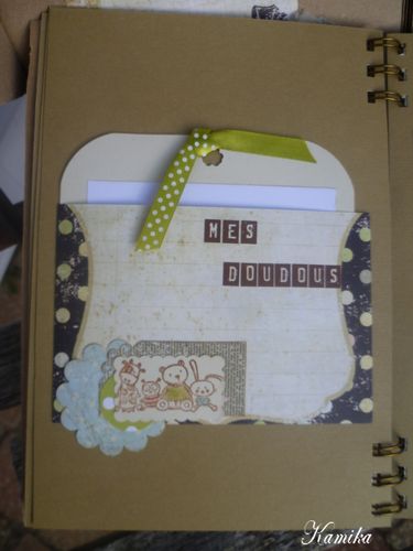 mini album8