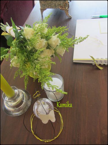 table papillons 16