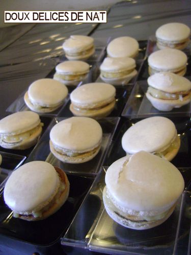 Macarons- Macarons--2-.JPG