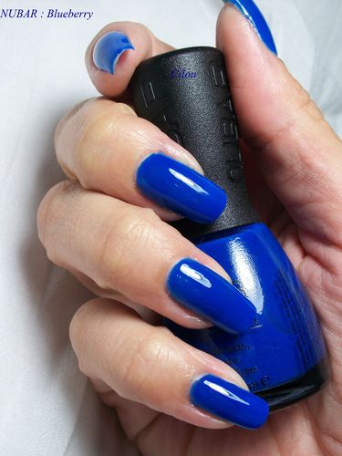 nubar blueberry (2)