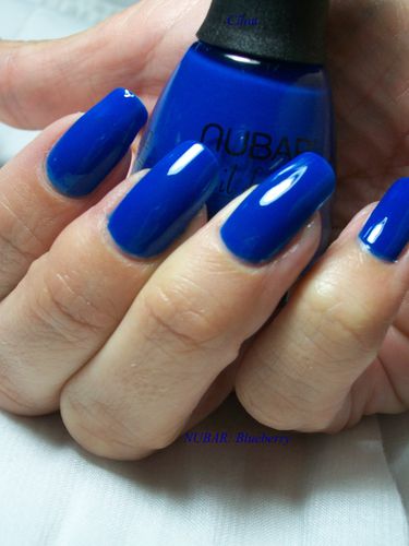 nubar blueberry (3)