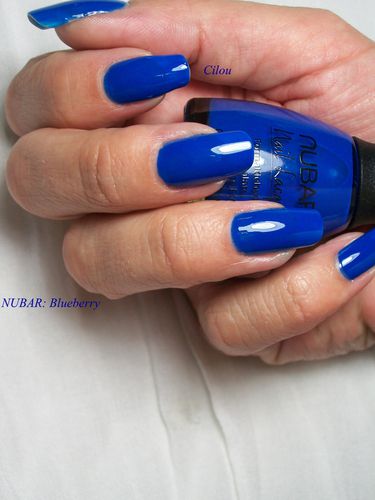 nubar blueberry (4)