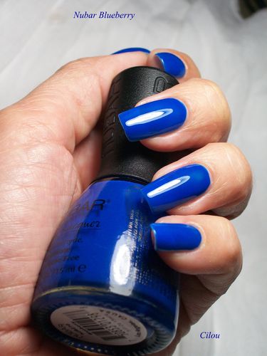 nubar blueberry (8)