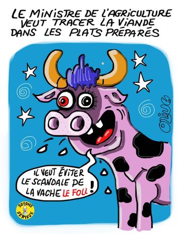 Le-scandale-de-la-vache-le-foll-oliveSS.JPG