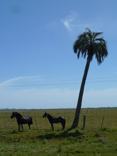 P1040200