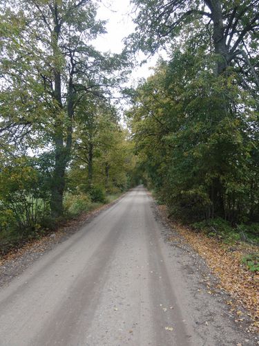 la route Estonie