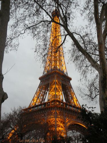Paris-tour-eiffel-nuit.jpg