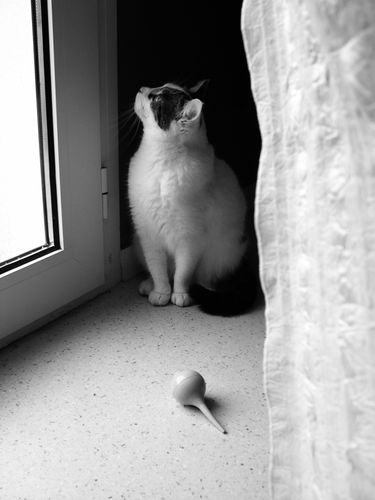DSCN2242.JPG
