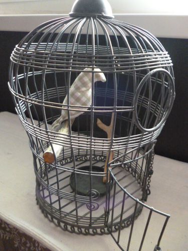 oiseau en cage 024