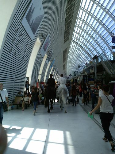 5-20140712_153955.jpg