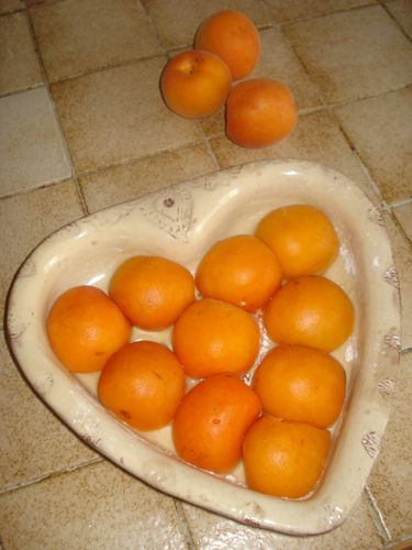 Clafoutis aux Abricots 5