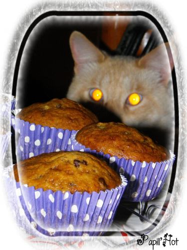 muffins-banane.jpg