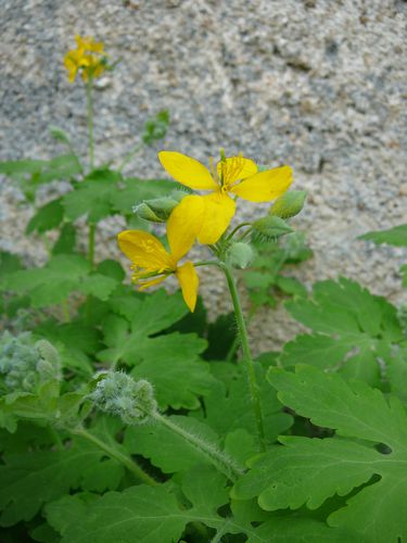 Photo 090