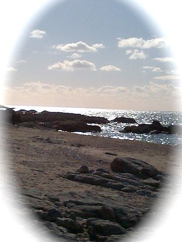 IMG-20121028-00948.jpg