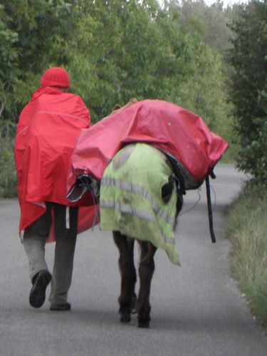 Sous-la-pluie.jpg
