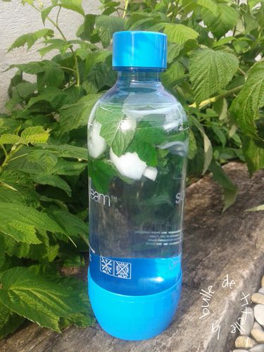 eau aromatisée cédrat menthe