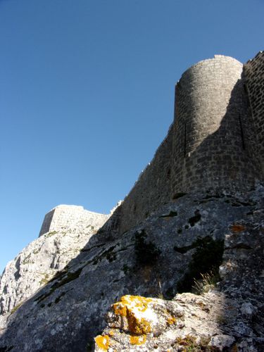 RIMG0177.JPG