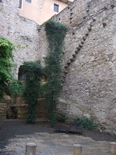DSCF3380.JPG
