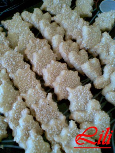 Photo016