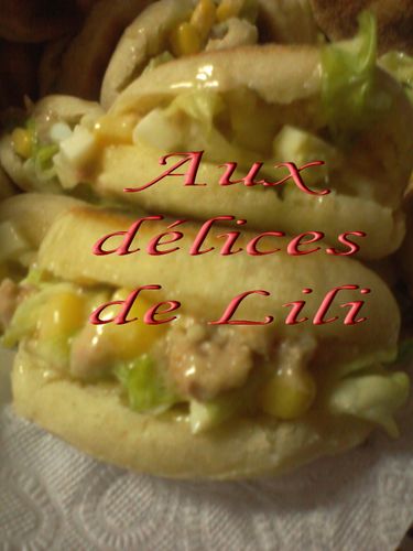 Photo-0010