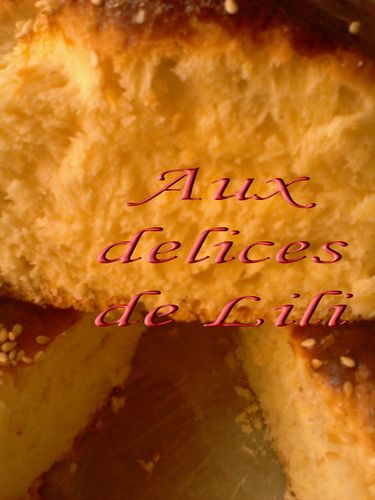 Copie de Photo-0075