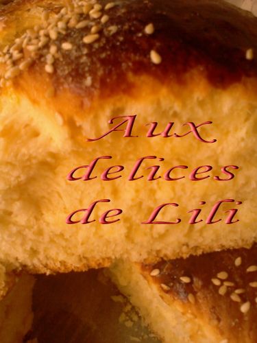 Copie de Photo-0077