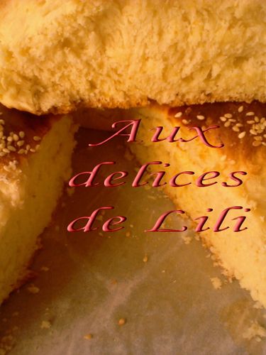 Copie de Photo-0078