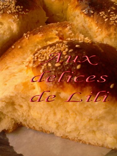Copie de Photo-0079