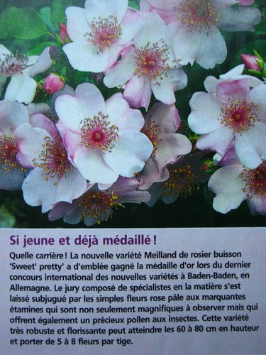 2014-0081.JPG