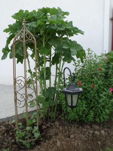 DSCF7658.JPG