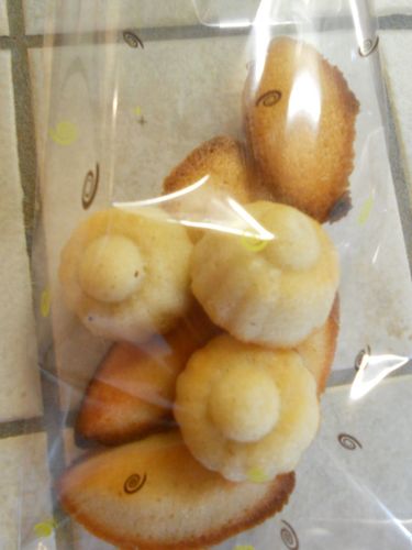 DSCN2546.JPG