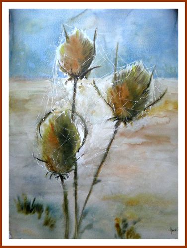 Fleurs.Defi-Aquarellissime.Chardons-aux-araignees2.Encadr.jpg