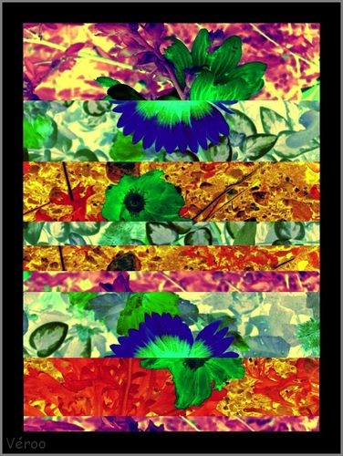 cg-fleur-4.jpg