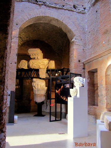 Musei 0101