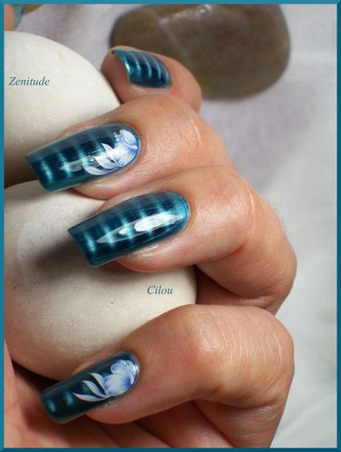 zenitude (15)