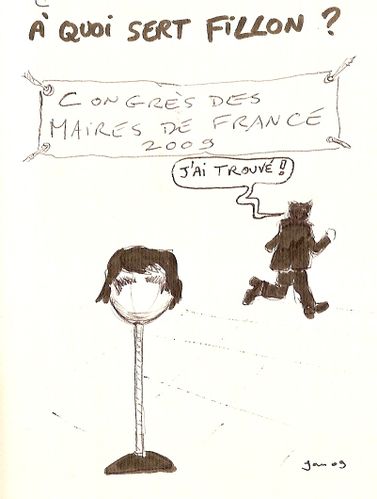 Fillon-maires-de-France.jpg